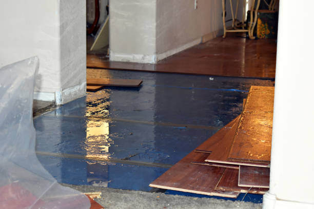 Professional Basement Flood Cleanup technician working in Rochester, WA